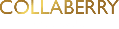 CollaBerry LG02