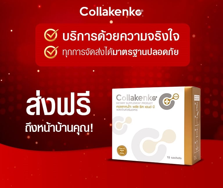 Collakenko CN220305 33
