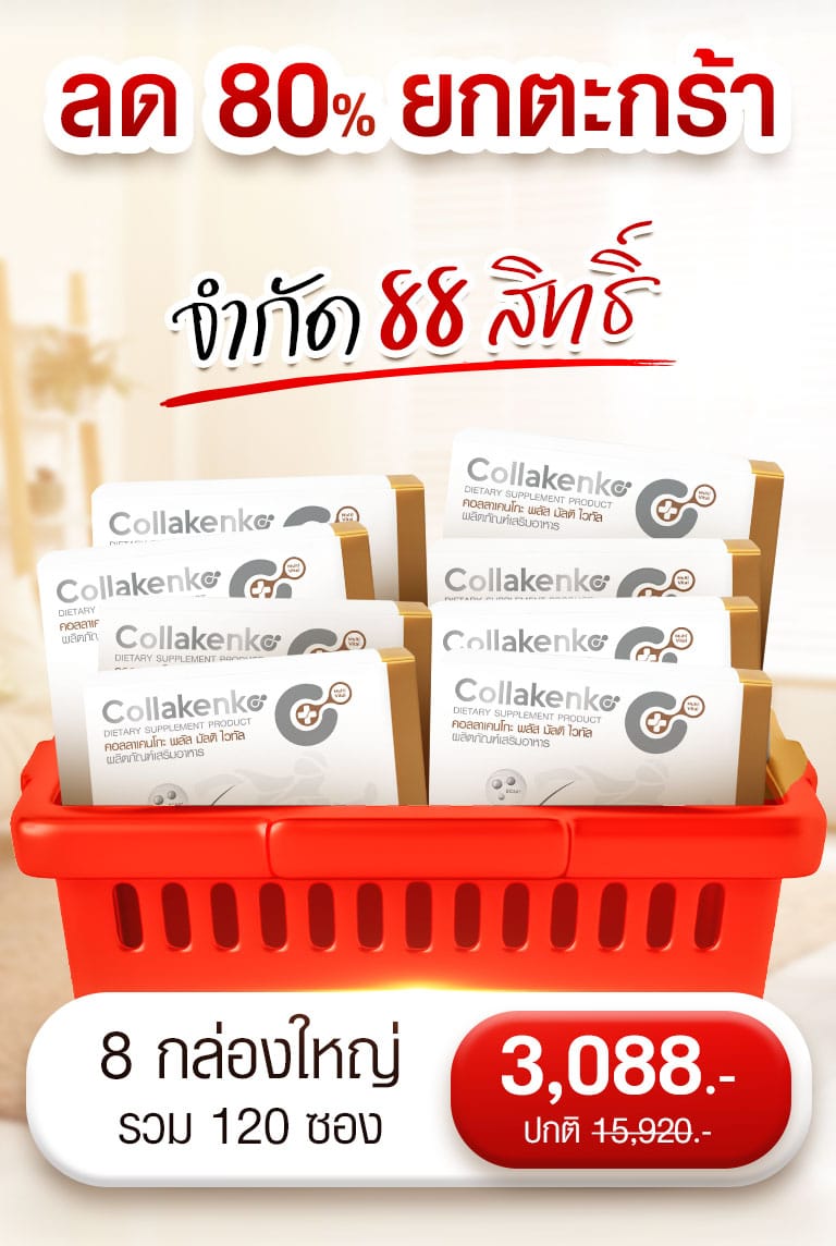 collakenko campaign 8 8 02